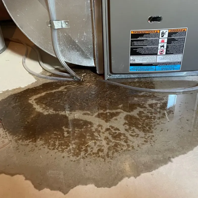 Pipe Burst and Leak Restoration in East Hartford, CT